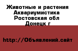 Животные и растения Аквариумистика. Ростовская обл.,Донецк г.